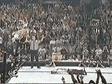 Rob van damme en pleine scene