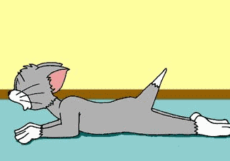 TOM  et  JERRY
